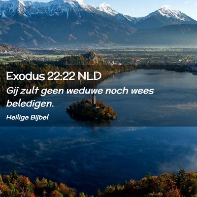 Picture 02 - Exodus 22:22 NLD - Gij zult geen weduwe noch wees - Bible Verse Picture