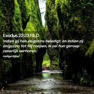 Picture 02 - Exodus 22:23 NLD - Indien gij hen enigszins beledigt, en indien zij - Bible Verse Picture