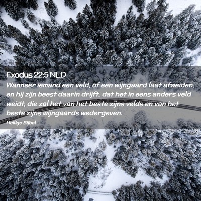 Picture 02 - Exodus 22:5 NLD - Wanneer iemand een veld, of een wijngaard laat - Bible Verse Picture