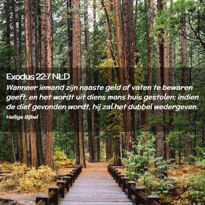 Picture 02 - Exodus 22:7 NLD - Wanneer iemand zijn naaste geld of vaten te - Bible Verse Picture