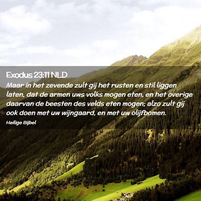 Picture 02 - Exodus 23:11 NLD - Maar in het zevende zult gij het rusten en stil - Bible Verse Picture