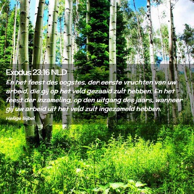 Picture 02 - Exodus 23:16 NLD - En het feest des oogstes, der eerste vruchten van - Bible Verse Picture