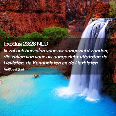 Picture 02 - Exodus 23:28 NLD - Ik zal ook horzelen voor uw aangezicht zenden; - Bible Verse Picture