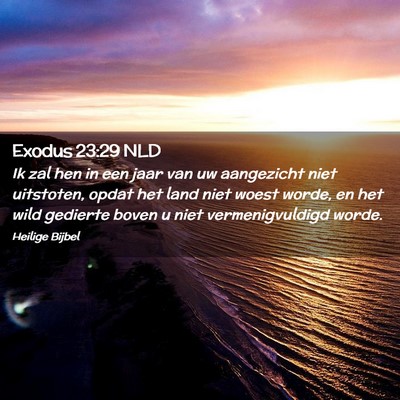 Picture 02 - Exodus 23:29 NLD - Ik zal hen in een jaar van uw aangezicht niet - Bible Verse Picture