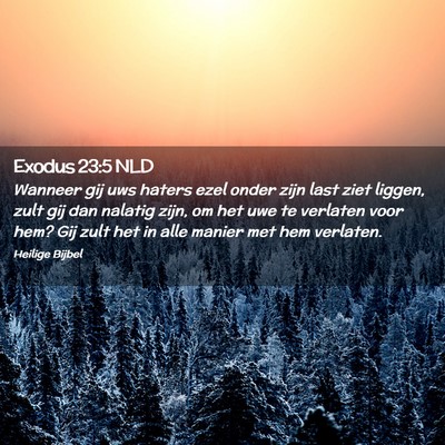 Picture 02 - Exodus 23:5 NLD - Wanneer gij uws haters ezel onder zijn last ziet - Bible Verse Picture