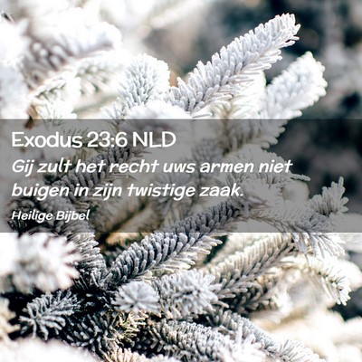 Picture 02 - Exodus 23:6 NLD - Gij zult het recht uws armen niet buigen in zijn - Bible Verse Picture