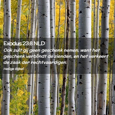 Picture 02 - Exodus 23:8 NLD - Ook zult gij geen geschenk nemen; want het - Bible Verse Picture