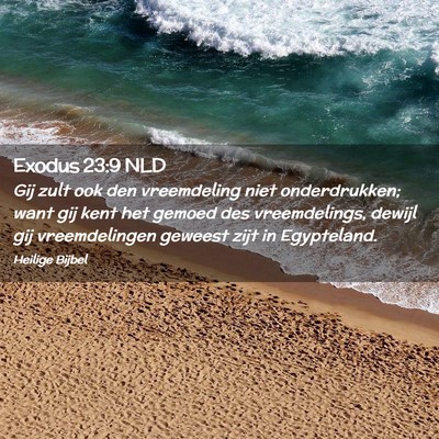 Picture 02 - Exodus 23:9 NLD - Gij zult ook den vreemdeling niet onderdrukken; - Bible Verse Picture