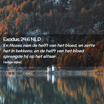 Picture 02 - Exodus 24:6 NLD - En Mozes nam de helft van het bloed, en zette het - Bible Verse Picture
