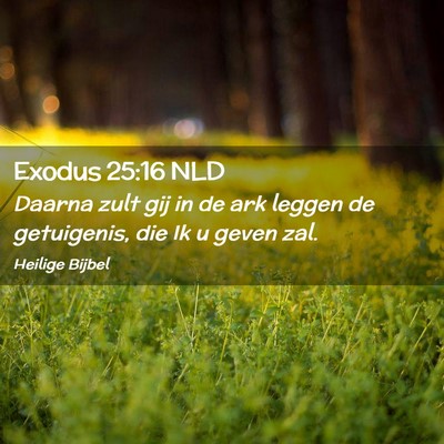Picture 02 - Exodus 25:16 NLD - Daarna zult gij in de ark leggen de getuigenis, - Bible Verse Picture