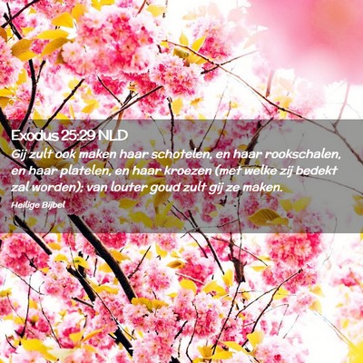 Picture 02 - Exodus 25:29 NLD - Gij zult ook maken haar schotelen, en haar - Bible Verse Picture