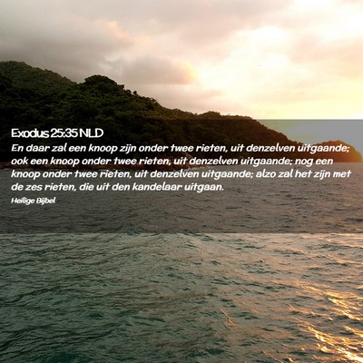 Picture 02 - Exodus 25:35 NLD - En daar zal een knoop zijn onder twee rieten, uit - Bible Verse Picture