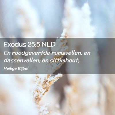 Picture 02 - Exodus 25:5 NLD - En roodgeverfde ramsvellen, en dassenvellen; en - Bible Verse Picture