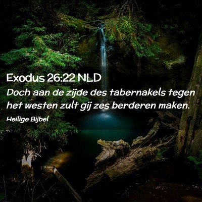 Picture 02 - Exodus 26:22 NLD - Doch aan de zijde des tabernakels tegen het - Bible Verse Picture