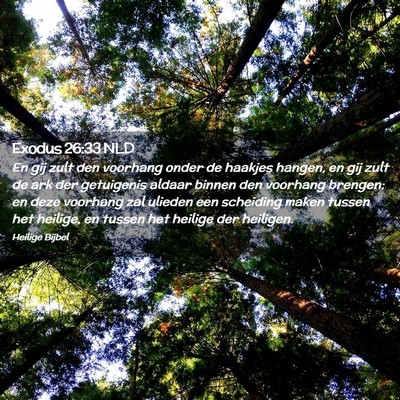 Picture 02 - Exodus 26:33 NLD - En gij zult den voorhang onder de haakjes hangen, - Bible Verse Picture