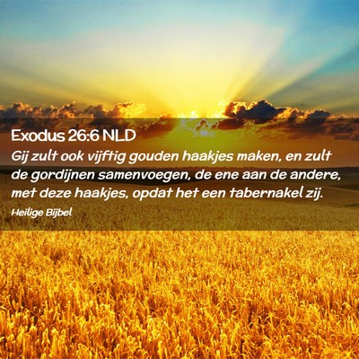 Picture 02 - Exodus 26:6 NLD - Gij zult ook vijftig gouden haakjes maken, en - Bible Verse Picture
