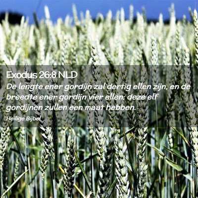 Picture 02 - Exodus 26:8 NLD - De lengte ener gordijn zal dertig ellen zijn, en - Bible Verse Picture
