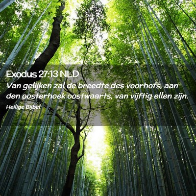 Picture 02 - Exodus 27:13 NLD - Van gelijken zal de breedte des voorhofs, aan den - Bible Verse Picture