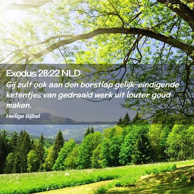 Picture 02 - Exodus 28:22 NLD - Gij zult ook aan den borstlap gelijk-eindigende - Bible Verse Picture