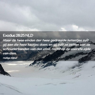 Picture 02 - Exodus 28:25 NLD - Maar de twee einden der twee gedraaide ketentjes - Bible Verse Picture
