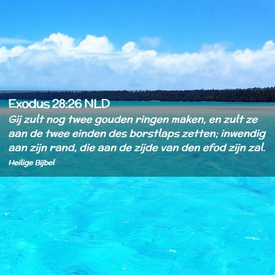 Picture 02 - Exodus 28:26 NLD - Gij zult nog twee gouden ringen maken, en zult ze - Bible Verse Picture