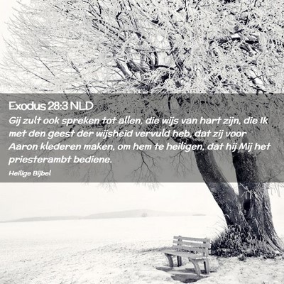 Picture 02 - Exodus 28:3 NLD - Gij zult ook spreken tot allen, die wijs van hart - Bible Verse Picture