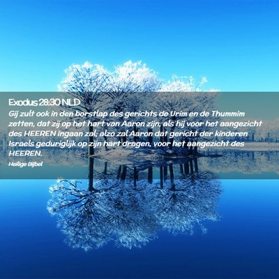 Picture 02 - Exodus 28:30 NLD - Gij zult ook in den borstlap des gerichts de Urim - Bible Verse Picture