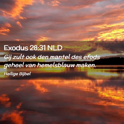 Picture 02 - Exodus 28:31 NLD - Gij zult ook den mantel des efods geheel van - Bible Verse Picture