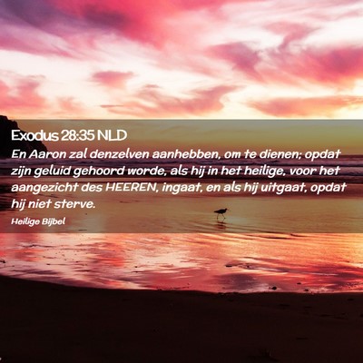 Picture 02 - Exodus 28:35 NLD - En Aaron zal denzelven aanhebben, om te dienen; - Bible Verse Picture