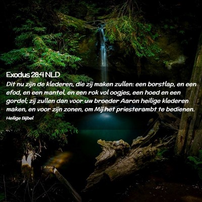 Picture 02 - Exodus 28:4 NLD - Dit nu zijn de klederen, die zij maken zullen: - Bible Verse Picture