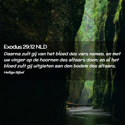 Picture 02 - Exodus 29:12 NLD - Daarna zult gij van het bloed des vars nemen, en - Bible Verse Picture