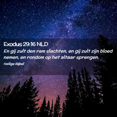 Picture 02 - Exodus 29:16 NLD - En gij zult den ram slachten, en gij zult zijn - Bible Verse Picture