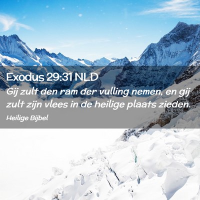 Picture 02 - Exodus 29:31 NLD - Gij zult den ram der vulling nemen, en gij zult - Bible Verse Picture