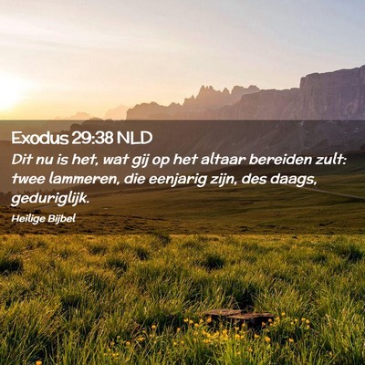Picture 02 - Exodus 29:38 NLD - Dit nu is het, wat gij op het altaar bereiden - Bible Verse Picture