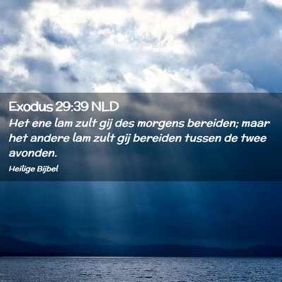 Picture 02 - Exodus 29:39 NLD - Het ene lam zult gij des morgens bereiden; maar - Bible Verse Picture