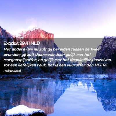 Picture 02 - Exodus 29:41 NLD - Het andere lam nu zult gij bereiden tussen de - Bible Verse Picture