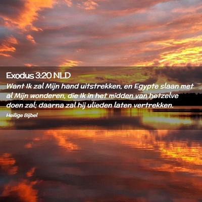 Picture 02 - Exodus 3:20 NLD - Want Ik zal Mijn hand uitstrekken, en Egypte - Bible Verse Picture