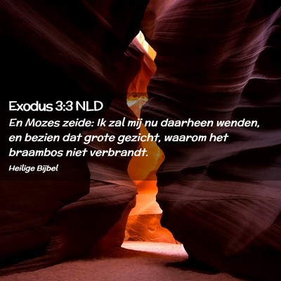Picture 02 - Exodus 3:3 NLD - En Mozes zeide: Ik zal mij nu daarheen wenden, en - Bible Verse Picture