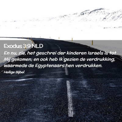 Picture 02 - Exodus 3:9 NLD - En nu, zie, het geschrei der kinderen Israels is - Bible Verse Picture
