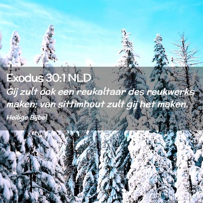 Picture 02 - Exodus 30:1 NLD - Gij zult ook een reukaltaar des reukwerks maken; - Bible Verse Picture