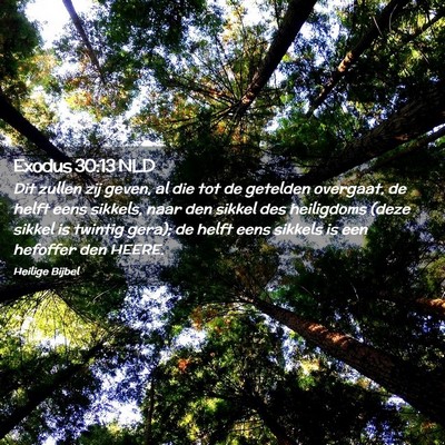 Picture 02 - Exodus 30:13 NLD - Dit zullen zij geven, al die tot de getelden - Bible Verse Picture