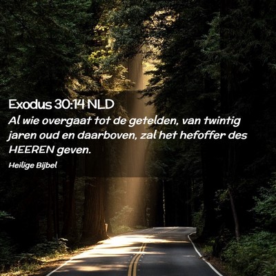 Picture 02 - Exodus 30:14 NLD - Al wie overgaat tot de getelden, van twintig - Bible Verse Picture