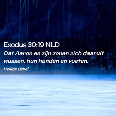 Picture 02 - Exodus 30:19 NLD - Dat Aaron en zijn zonen zich daaruit wassen, hun - Bible Verse Picture