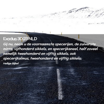 Picture 02 - Exodus 30:23 NLD - Gij nu, neem u de voornaamste specerijen, de - Bible Verse Picture