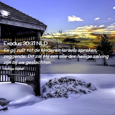 Picture 02 - Exodus 30:31 NLD - En gij zult tot de kinderen Israels spreken, - Bible Verse Picture