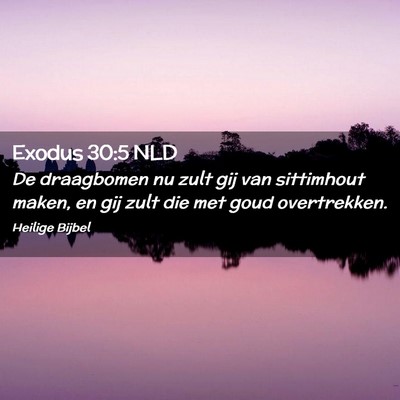 Picture 02 - Exodus 30:5 NLD - De draagbomen nu zult gij van sittimhout maken, - Bible Verse Picture