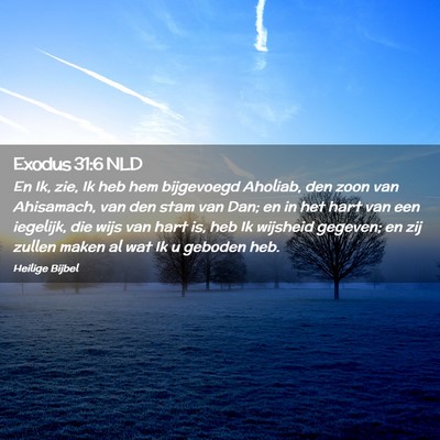 Picture 02 - Exodus 31:6 NLD - En Ik, zie, Ik heb hem bijgevoegd Aholiab, den - Bible Verse Picture