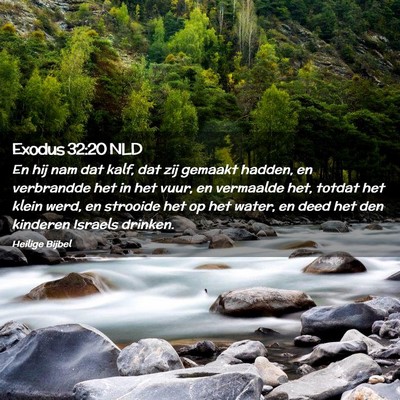 Picture 02 - Exodus 32:20 NLD - En hij nam dat kalf, dat zij gemaakt hadden, en - Bible Verse Picture