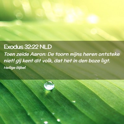 Picture 02 - Exodus 32:22 NLD - Toen zeide Aaron: De toorn mijns heren ontsteke - Bible Verse Picture