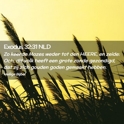 Picture 02 - Exodus 32:31 NLD - Zo keerde Mozes weder tot den HEERE, en zeide: - Bible Verse Picture